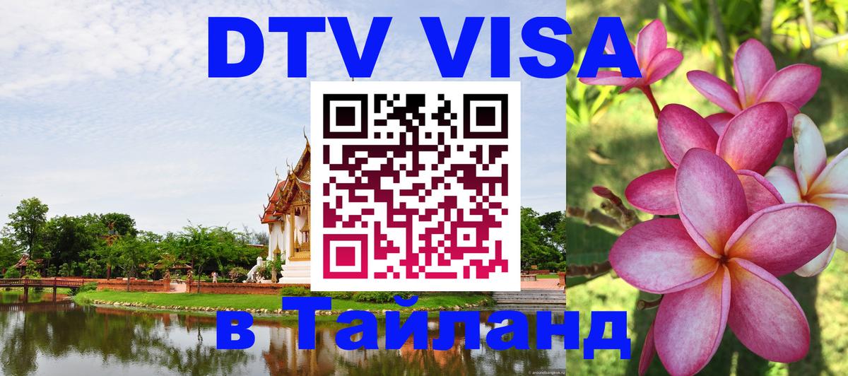 Оформление DTV визы под ключ: стоимость и тарифы, только загранпаспорт - 